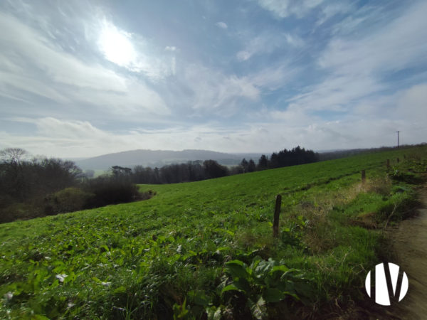 MORBIHAN – Polyculture élevage avec atelier robotisé et porcin sur 144 hectares