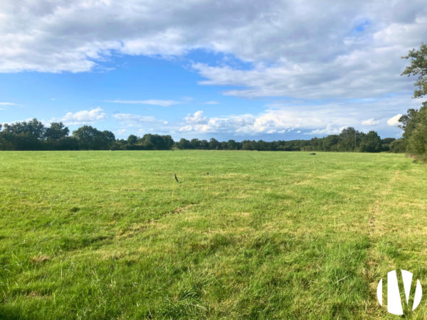 Pays de la Loire, Exploitation laitière performante et autonome